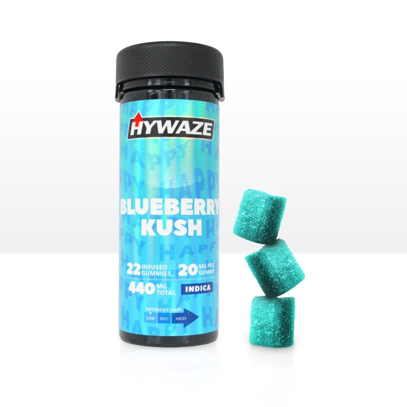 HYWAZEGUMMIES BLUEBERRY 22PCS